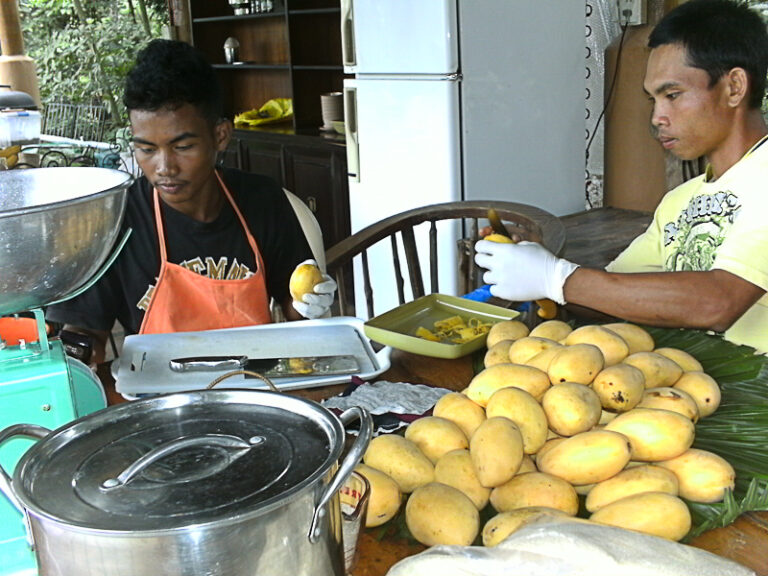 creation of dos marias demo farm, gerry ledesma's farm, araal, n