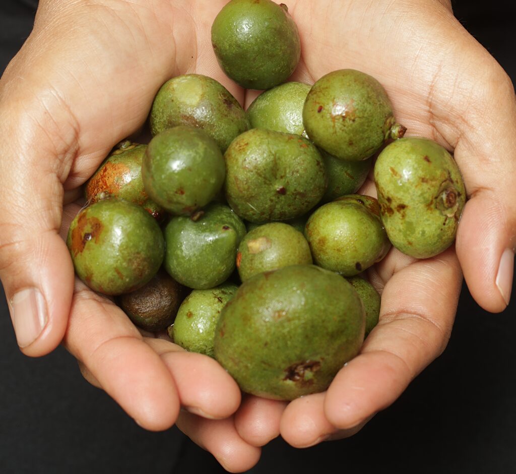 0d5a4327 moredetail v3 x1 2303x2114 2pass moredetail v3